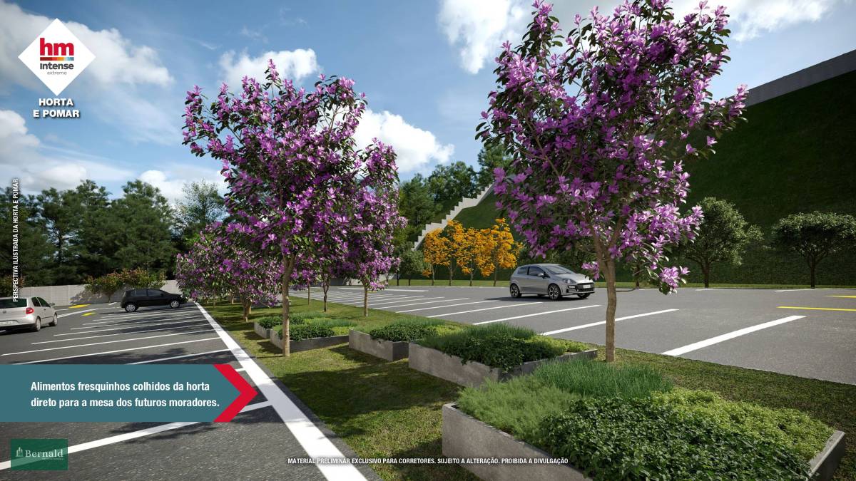 Apartamento com 2 quartos, 49m², à venda em Extrema, Ponte Nova