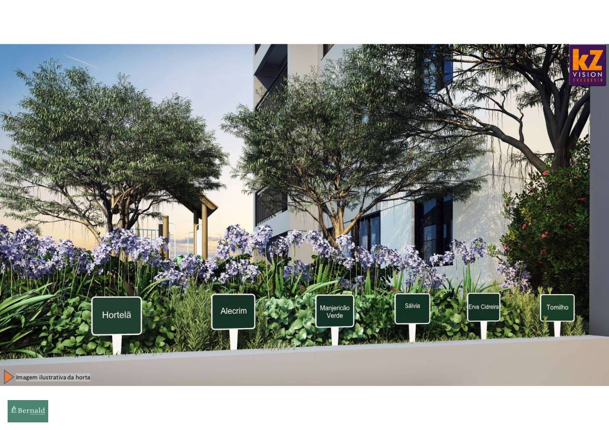 Apartamento com 2 quartos, 36m², à venda em São Paulo, Vila Albertina